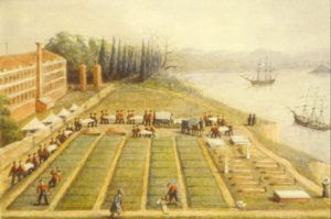 0971 Watercolour by General Edward Wray, burial ground at General Hospital, Scutari, April 1855