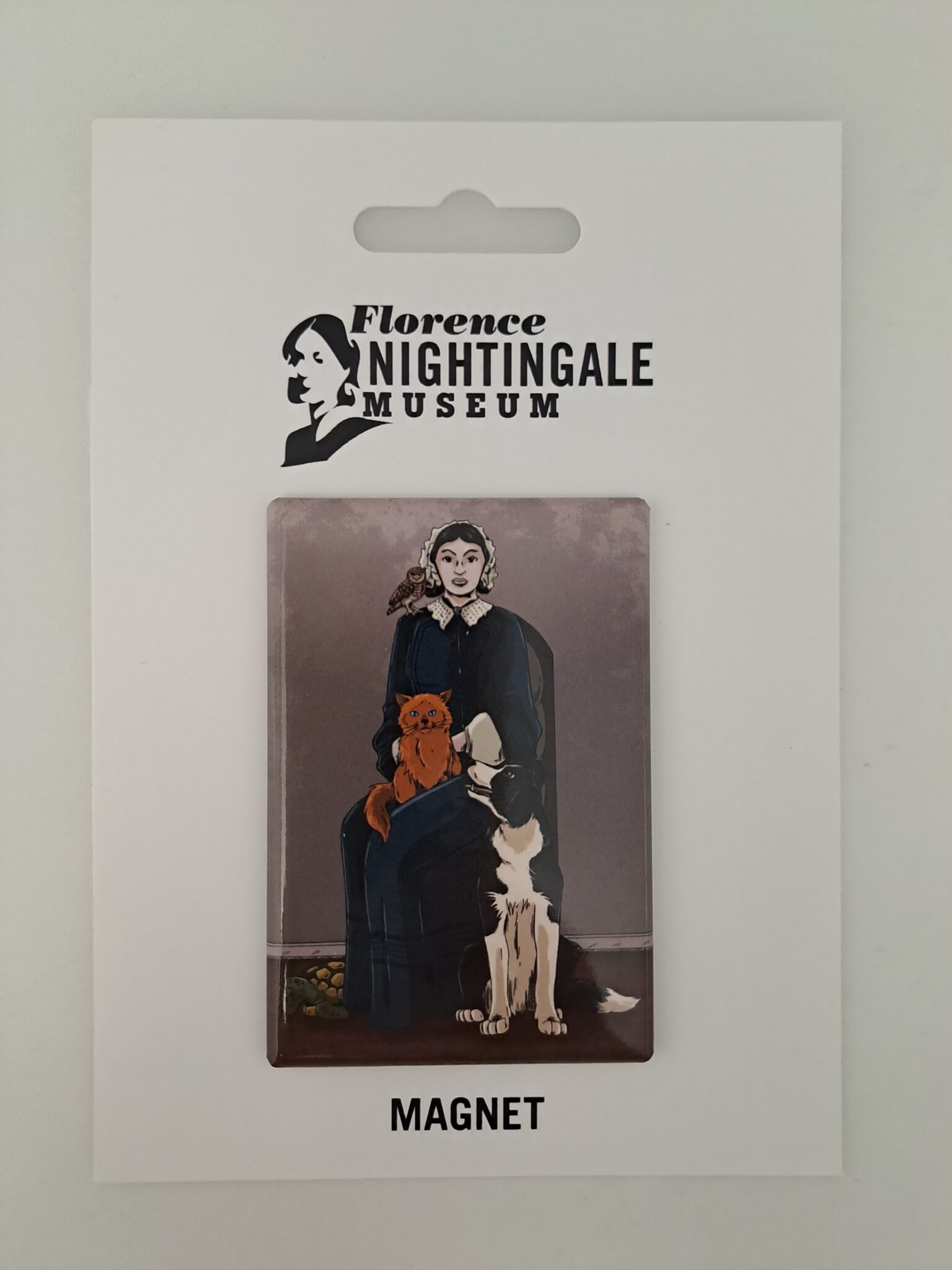 Caring Companions Florence Nightingale Museum London