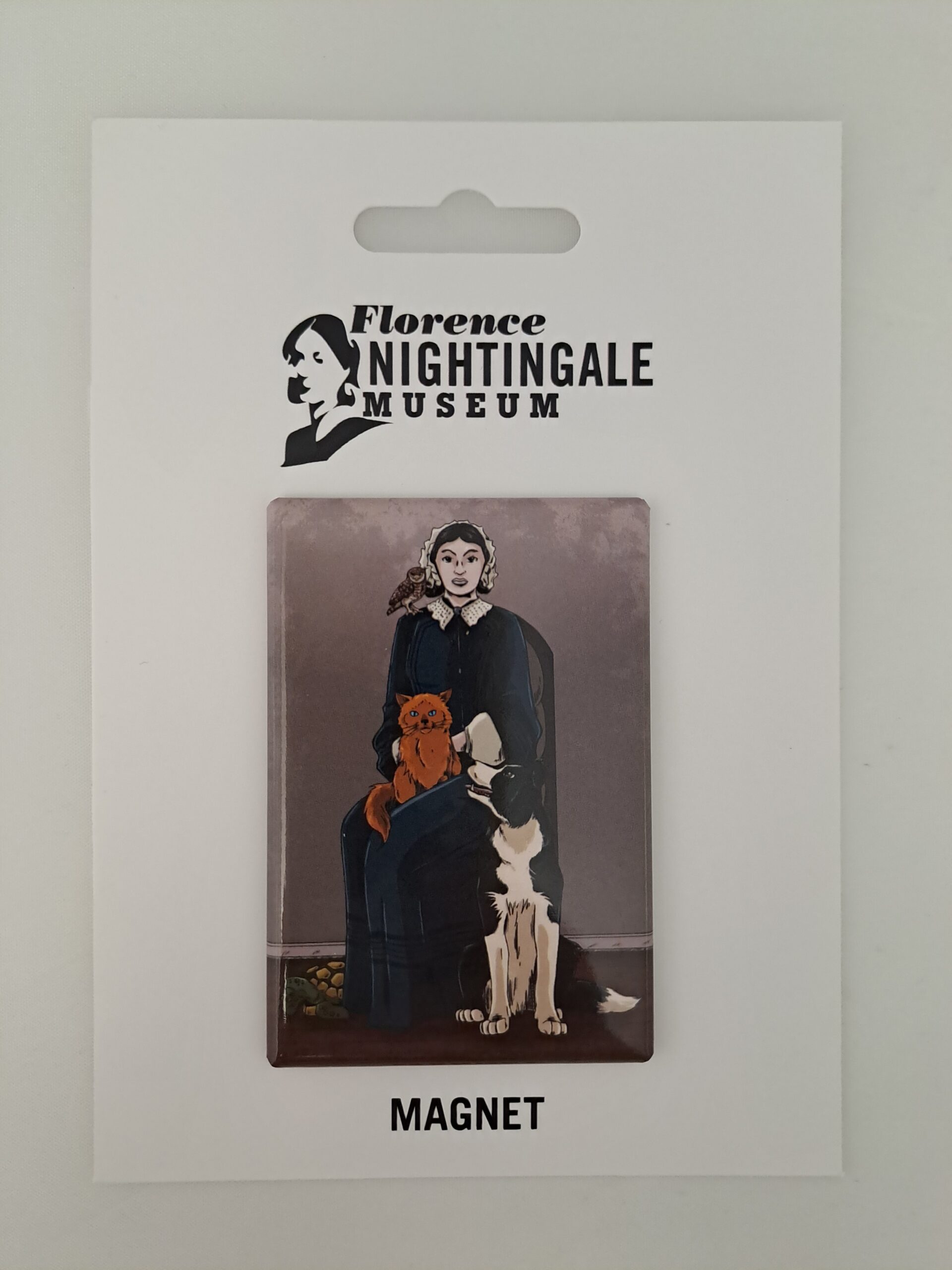 Caring Companions Florence Nightingale Museum London
