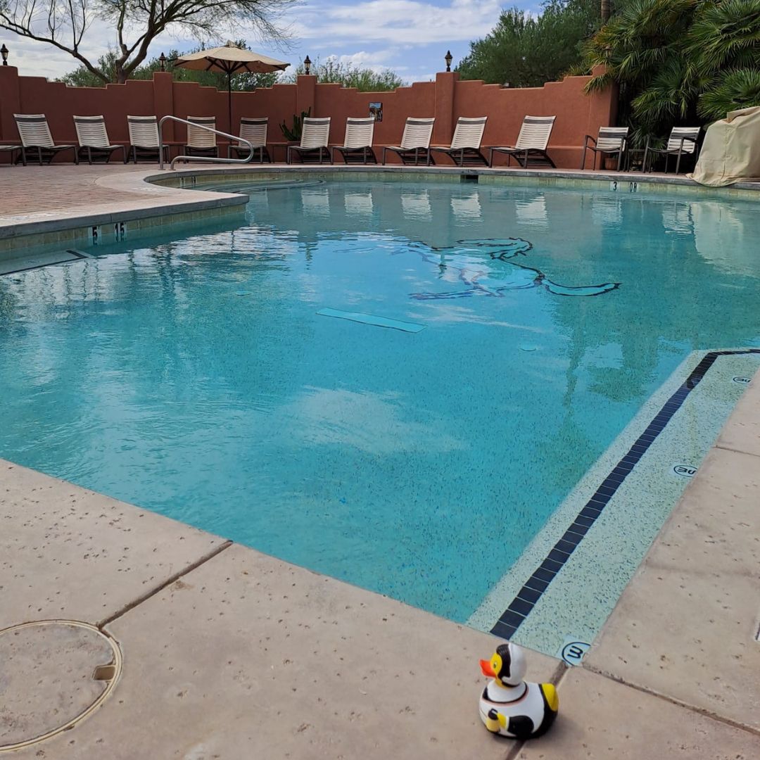 Florence Duck - Image 4