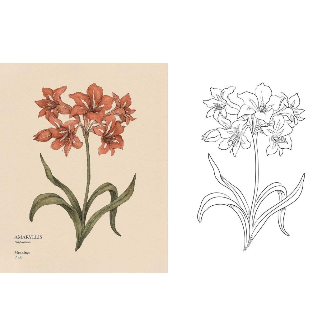 Floriography Colouring Book - Image 3