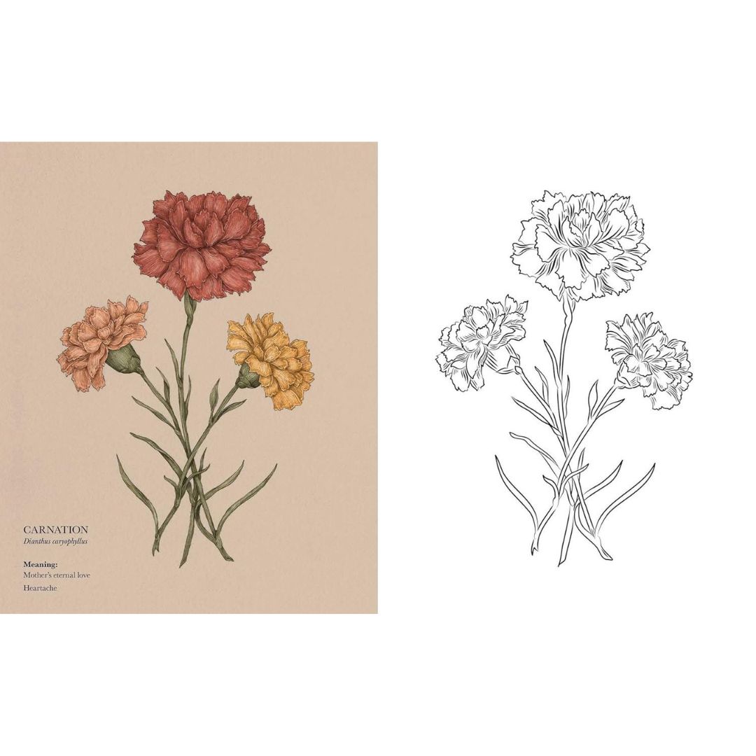 Floriography Colouring Book - Image 5