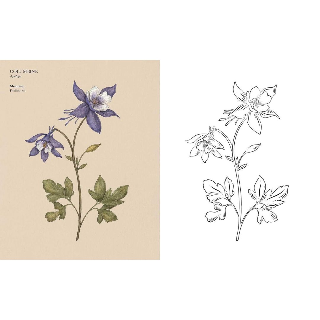 Floriography Colouring Book - Image 6