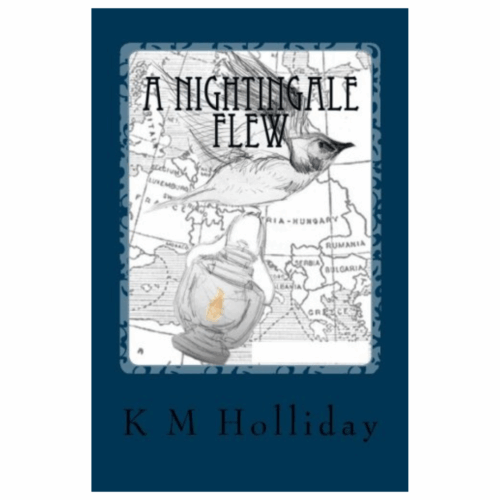 Book cover for 'A Nightingale Flew' features a bird flying holding a lamp