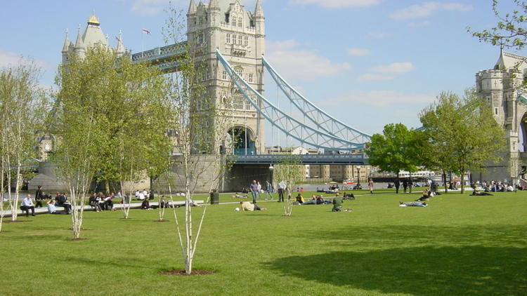 Potters field