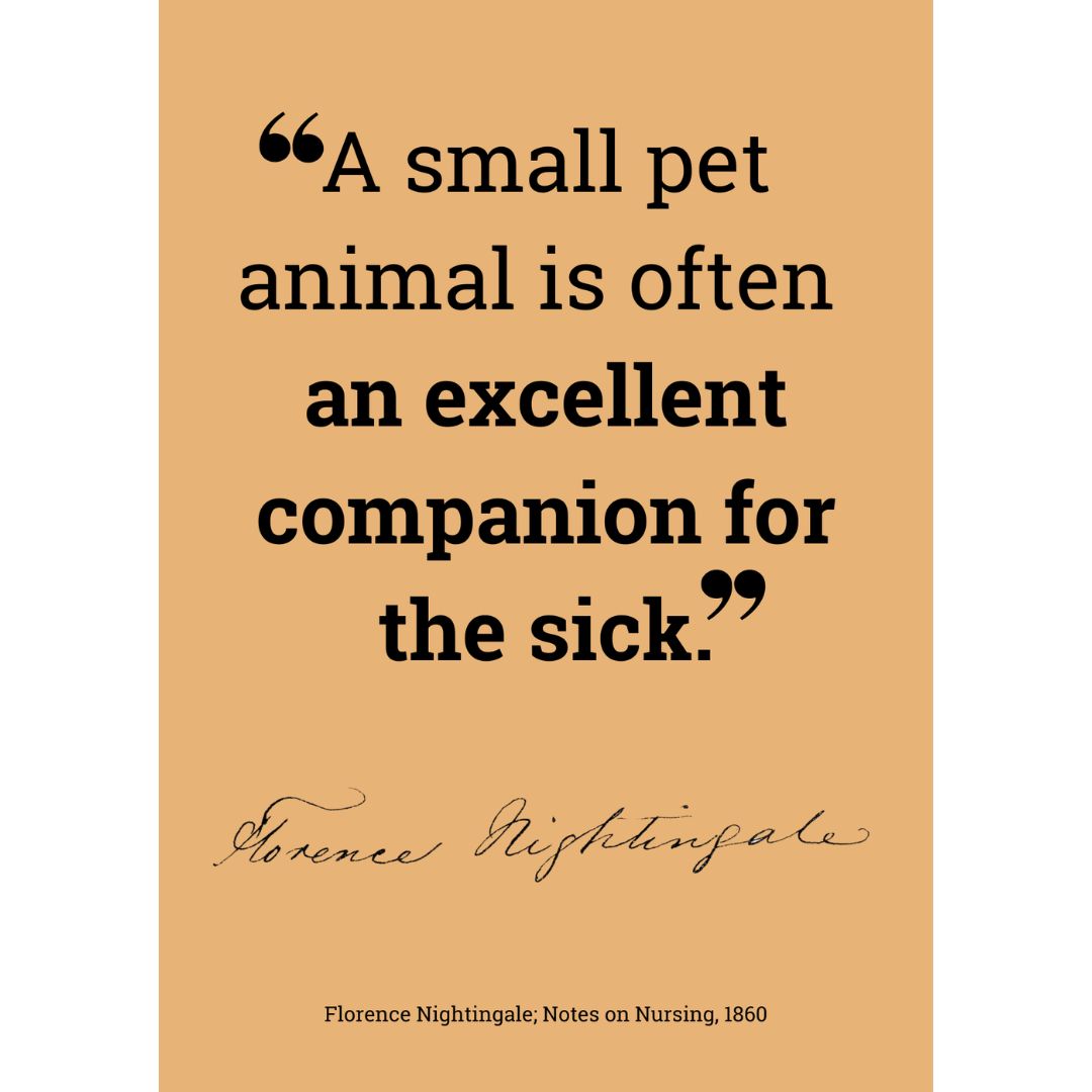 Quote Notecard Set - Image 3