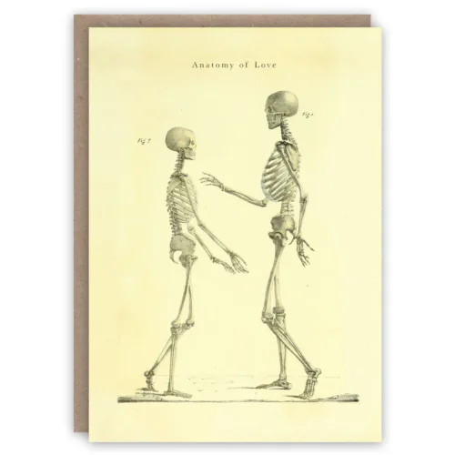 Card with skeletons, Anatomy of Love