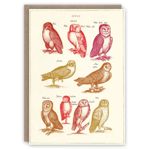 Card with illustrations of owls